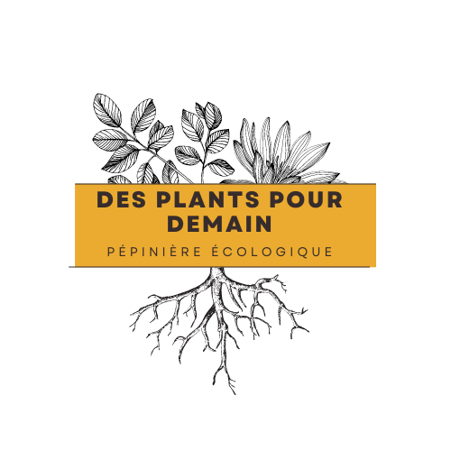 des-plants-pour-demain